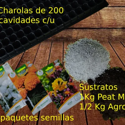 Kit Germinador
