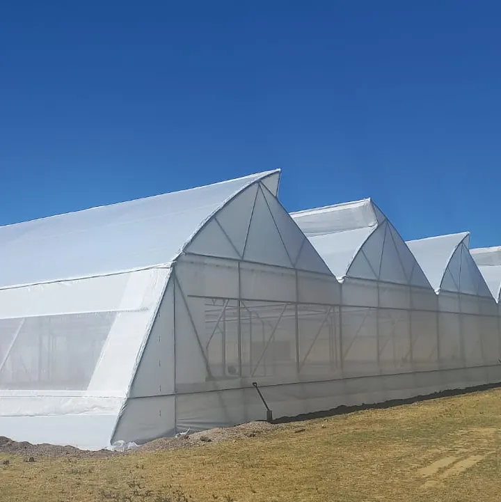 Invernadero en el Estado de México