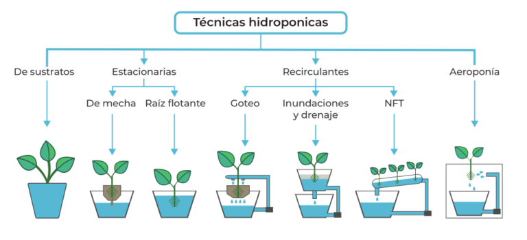 La hidroponia